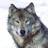 wolfsschnauze