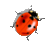 negomba