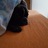 Johny_Lippe