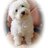 schnuffel34