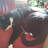 alfi777