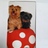 Lachsforelle1