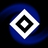 Roadrunner_HH